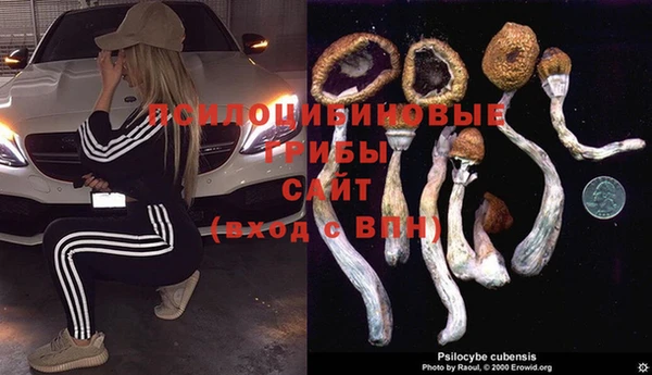 каннабис Красноперекопск