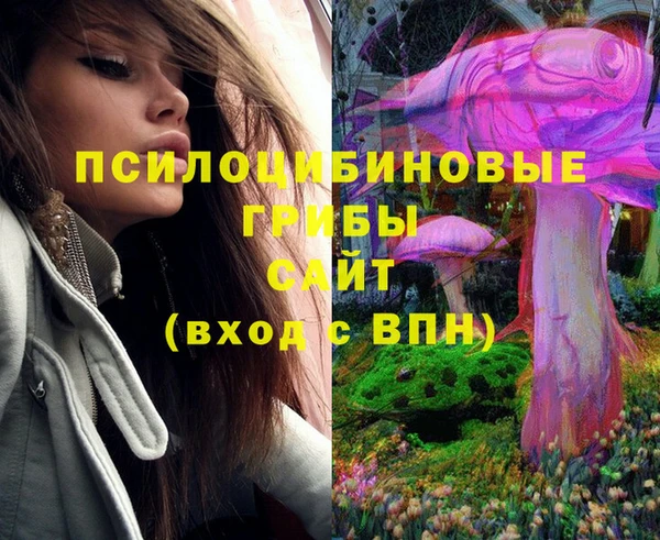 mix Краснослободск