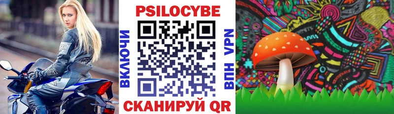 Псилоцибиновые грибы Psilocybe  Купить  Кулебаки 