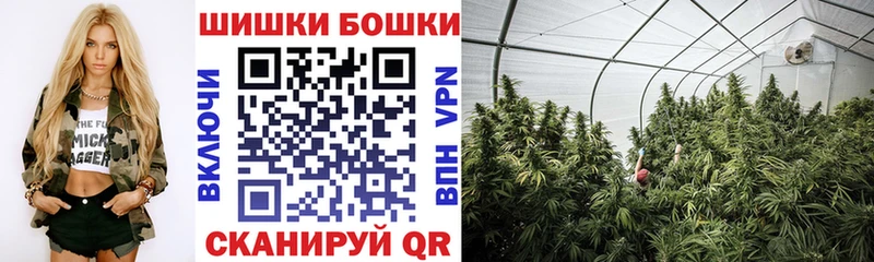 Купить где  Кулебаки  Шишки марихуана планчик 